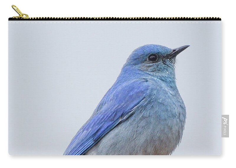 Ave Zip Pouch featuring the photograph The Bluebird Of Happiness by Joy McAdams