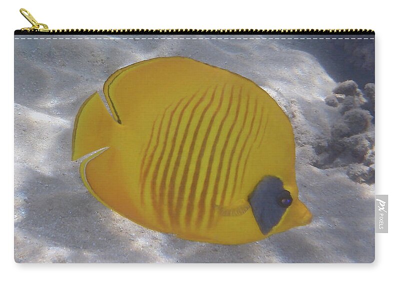 Fish Zip Pouch featuring the photograph The Bluecheeked Butterflyfish Red Sea by Johanna Hurmerinta