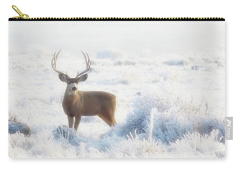 Deer Zip Pouch featuring the photograph The Buck Stops Here by Brian Gustafson