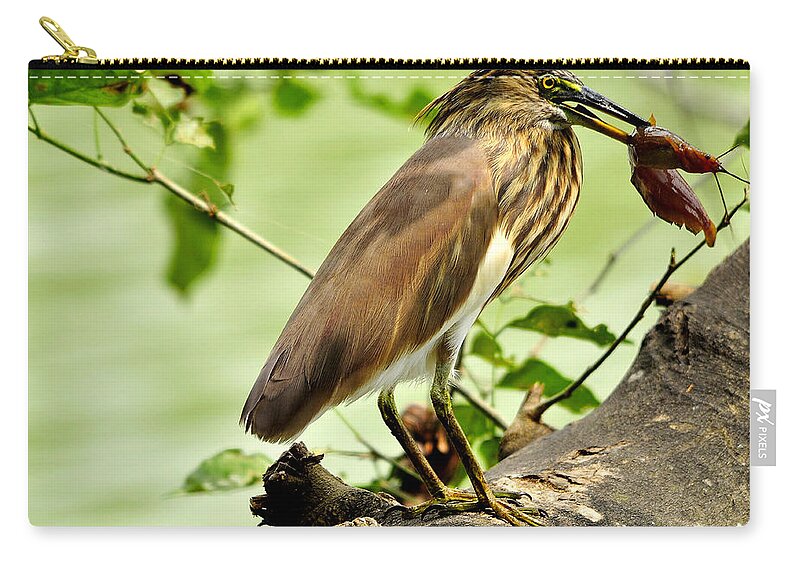 Pond-heron Zip Pouch featuring the photograph The Catch by Joseph Franco