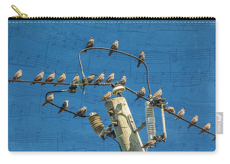Birds Zip Pouch featuring the photograph The Choir by Cathy Kovarik