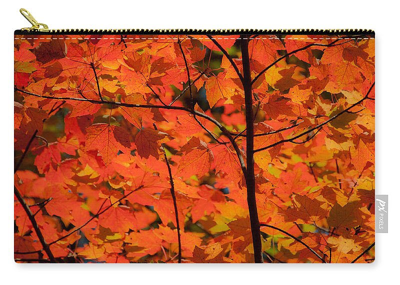 Waterfalls Zip Pouch featuring the photograph The Colors of Fall by Brenda Jacobs