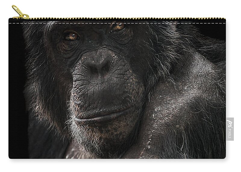 Chimpanzee Zip Pouch featuring the photograph The Contender by Paul Neville