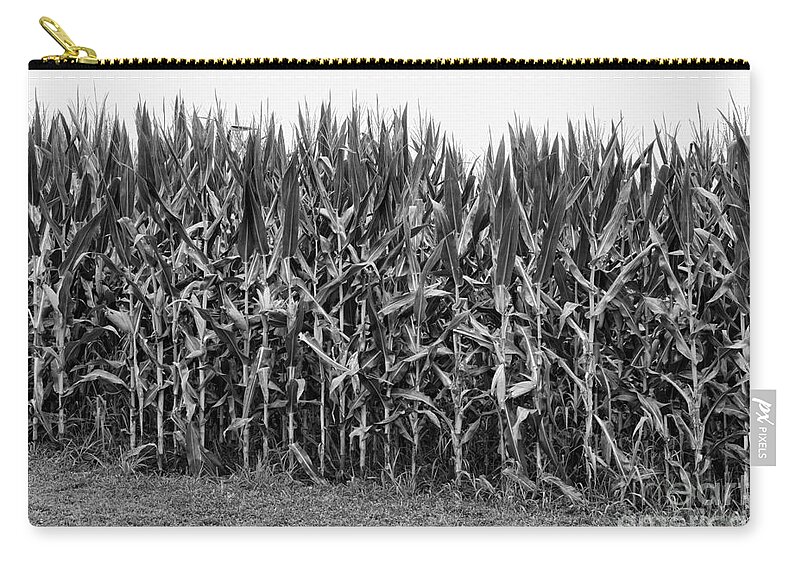 Paul Ward Zip Pouch featuring the photograph The Cornfield by Paul Ward
