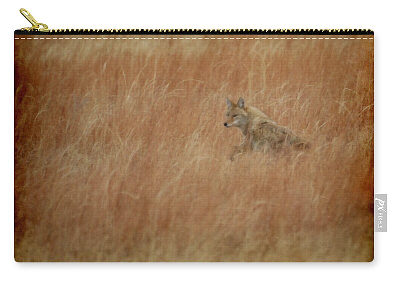 Coyote Zip Pouch featuring the photograph The Coyote by Ernest Echols