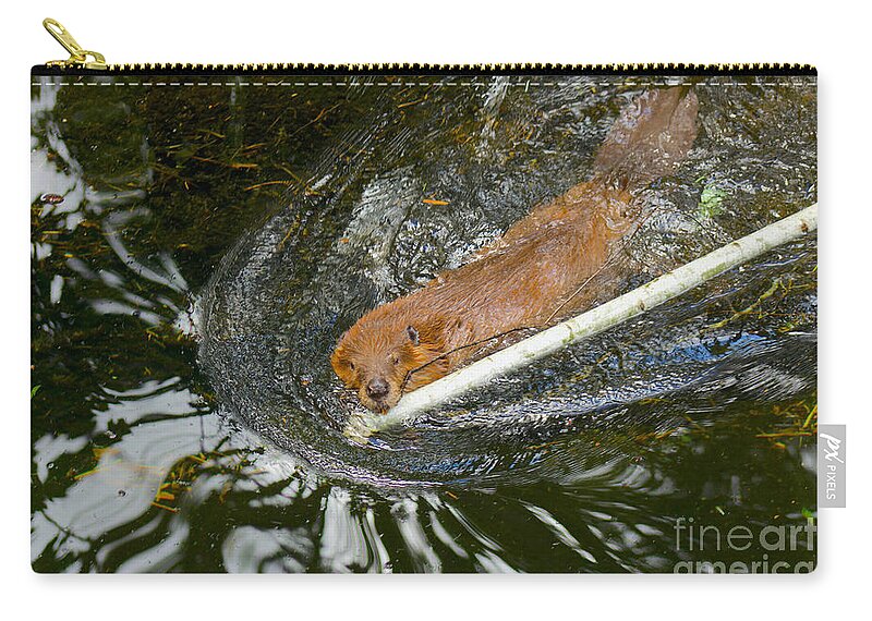 Photography Zip Pouch featuring the photograph The Dam Builder by Sean Griffin