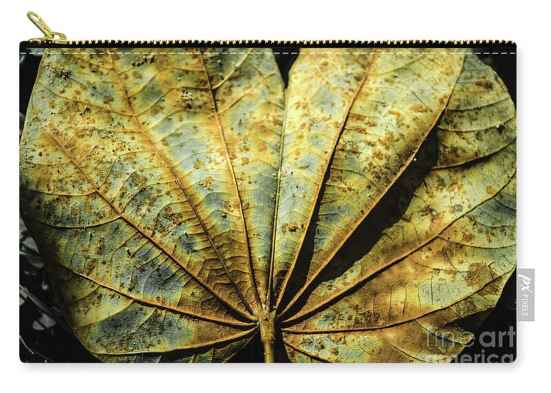 Michelle Meenawong Zip Pouch featuring the photograph The Dead Leaf by Michelle Meenawong