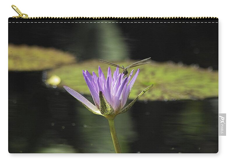 Fairchildtropicalgardens Zip Pouch featuring the photograph The Dragonfly and the Lily by Gary Dean Mercer Clark