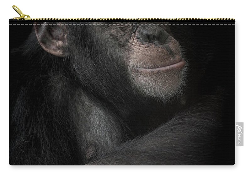 Chimpanzee Zip Pouch featuring the photograph The dream catcher by Paul Neville