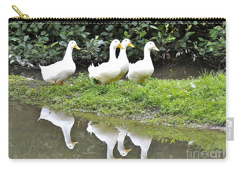 Duck Poster Zip Pouch featuring the photograph The Duck Gang by Penny Neimiller