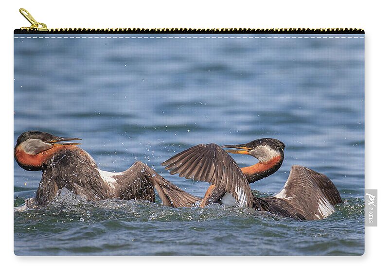 Gary Hall Zip Pouch featuring the photograph The Duel 2 by Gary Hall