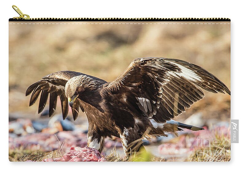 Golden Eagle Carry-all Pouch featuring the photograph The Eagle have come down by Torbjorn Swenelius