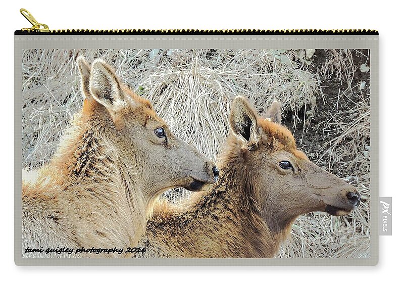 Elk Zip Pouch featuring the photograph The Elk Of Winter by Tami Quigley