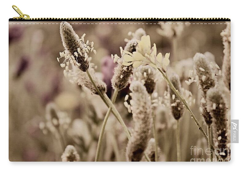Dandelions Zip Pouch featuring the photograph The End by Clare Bevan