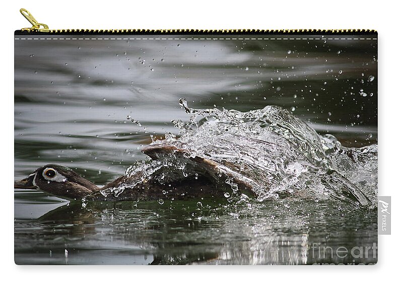 Duck Zip Pouch featuring the photograph The Escape by Douglas Stucky