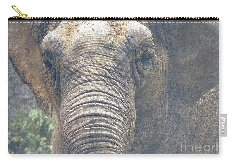 The Eyes Of Age Zip Pouch featuring the photograph The Eyes Of Age by Mitch Shindelbower