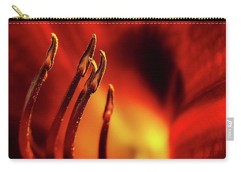 Lily Carry-all Pouch featuring the photograph The Fire Within by Mike Eingle