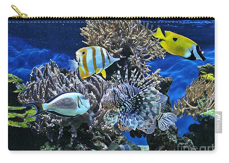 Fish Zip Pouch featuring the digital art The Fishes Know Everything by Binka Kirova