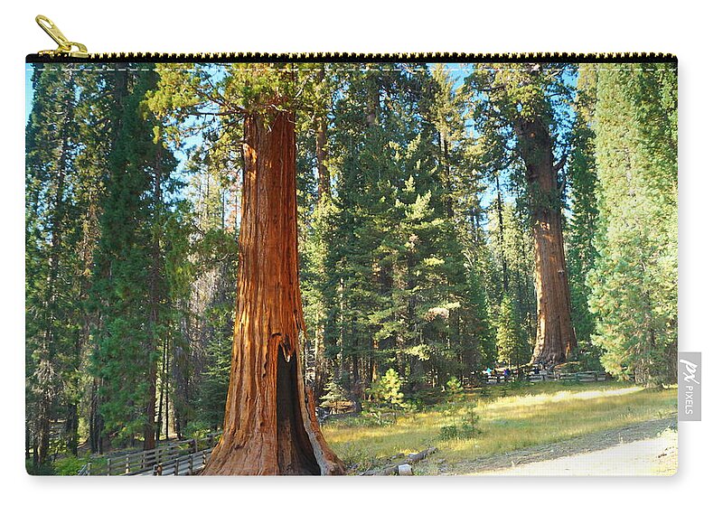 California Zip Pouch featuring the photograph The General by Beth Collins