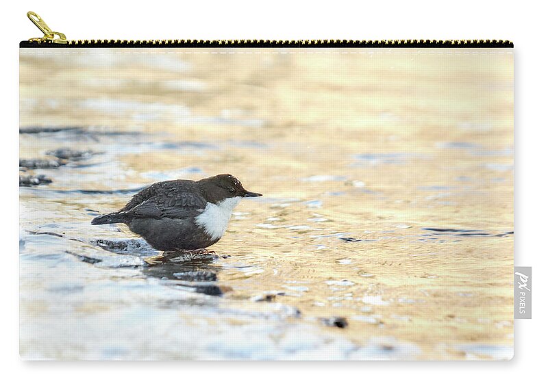 Lehtokukka Zip Pouch featuring the photograph The Golden river. White-throated dipper by Jouko Lehto