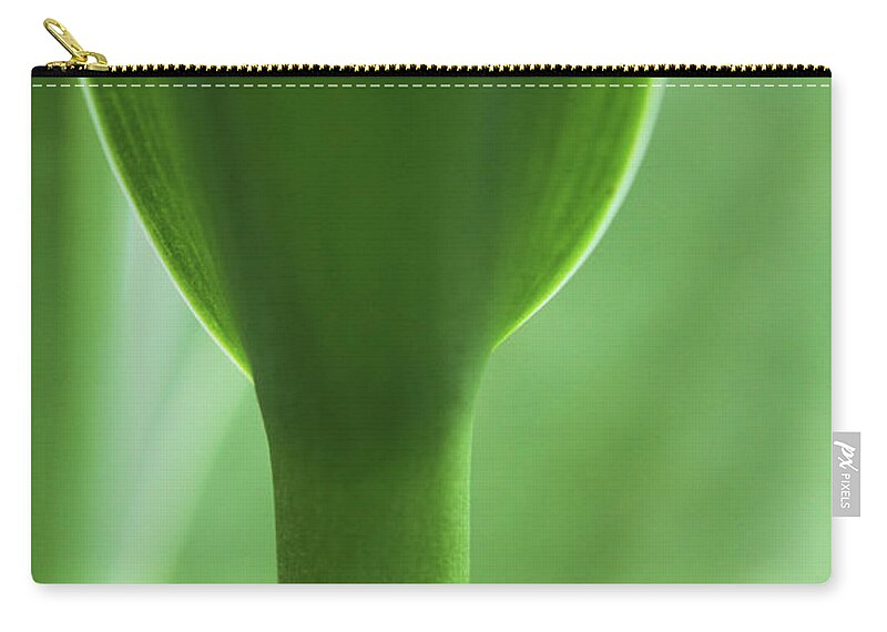 Connie Handscomb Zip Pouch featuring the photograph Green Goblet by Connie Handscomb