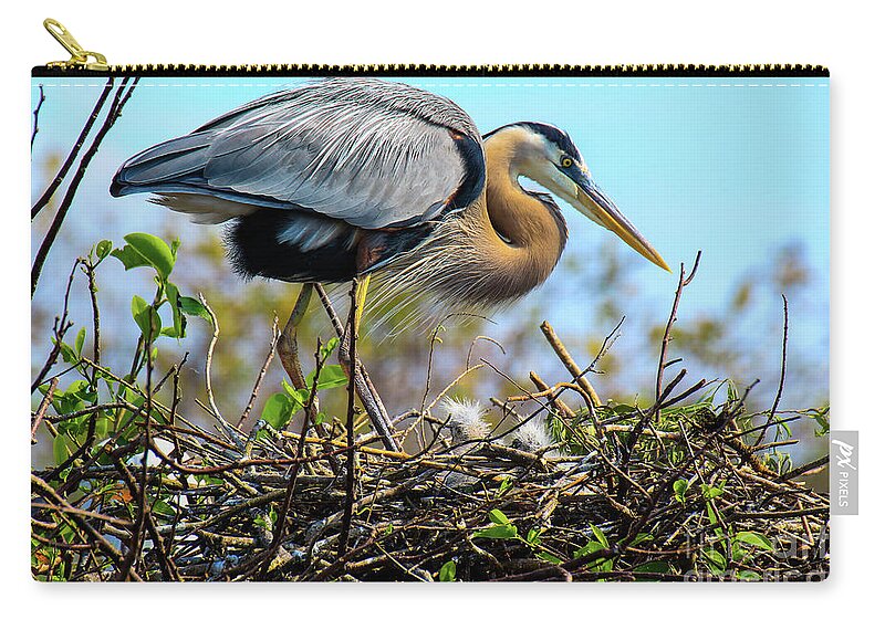 Bird Zip Pouch featuring the photograph The Guardian by Jo Ann Gregg