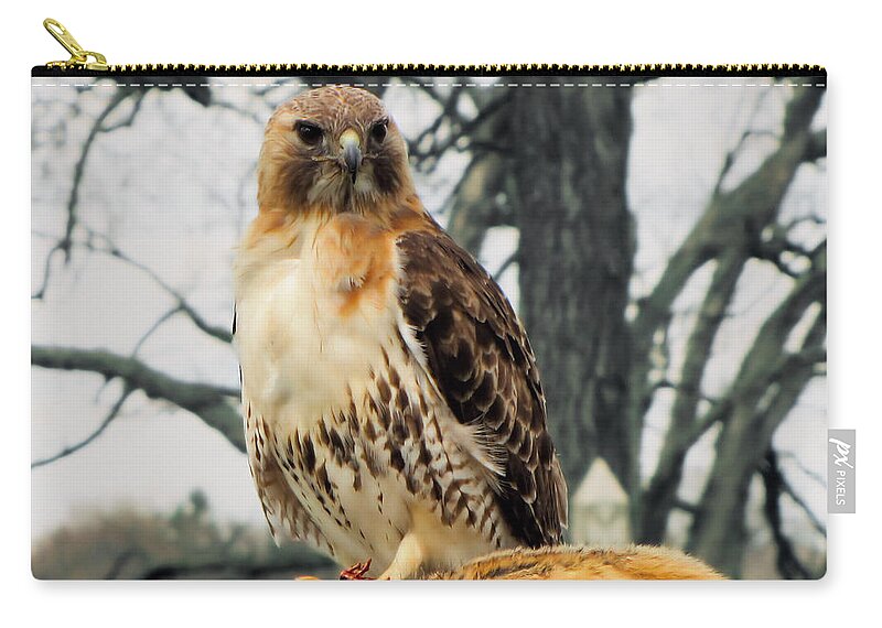 Hawk Zip Pouch featuring the photograph The Kill by September Stone