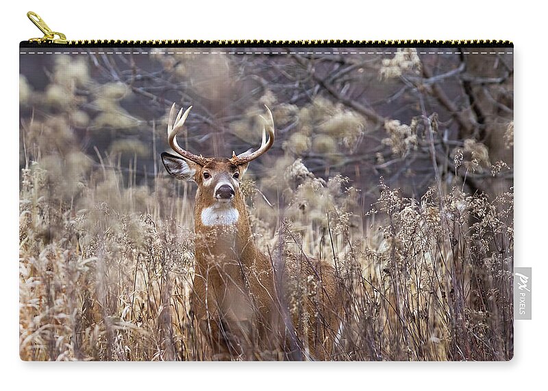 White-tailed Zip Pouch featuring the photograph The King by Mircea Costina Photography