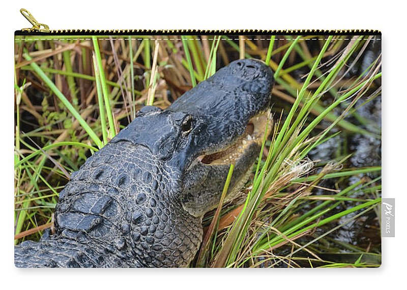 The Everglades Zip Pouch featuring the photograph The Last Laugh by Bob Phillips