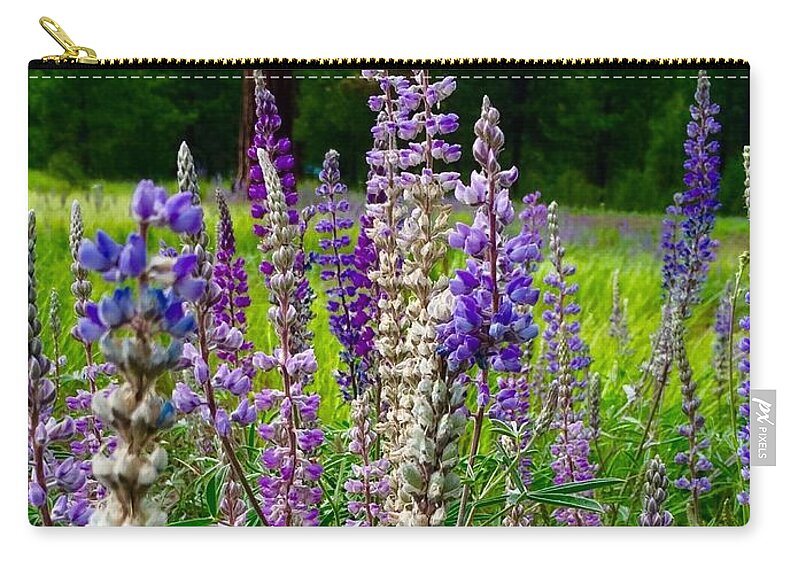 Lupines Zip Pouch featuring the photograph The Lupine Crowd by Jennifer Lake