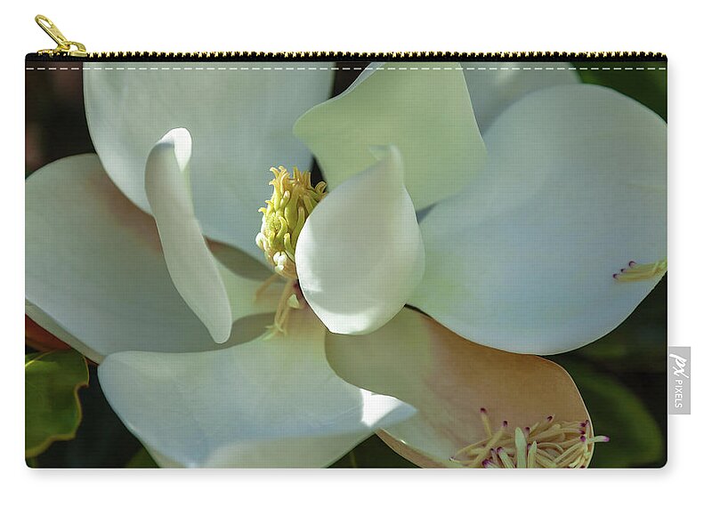 Nature Zip Pouch featuring the photograph The Magnolia by Jonathan Nguyen