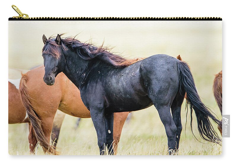 Horse Zip Pouch featuring the photograph The master by Bryan Carter