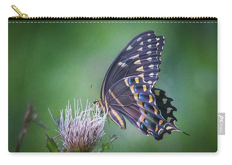 Photograph Zip Pouch featuring the photograph The Mattamuskeet Butterfly by Cindy Lark Hartman