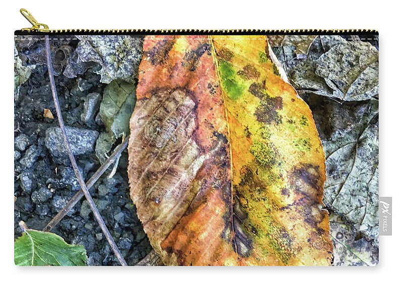 Autumn Zip Pouch featuring the photograph The Measure of Leaves by Kerri Farley