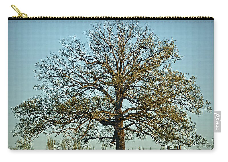 Oak Zip Pouch featuring the photograph The Mighty Oak in Spring by Cricket Hackmann