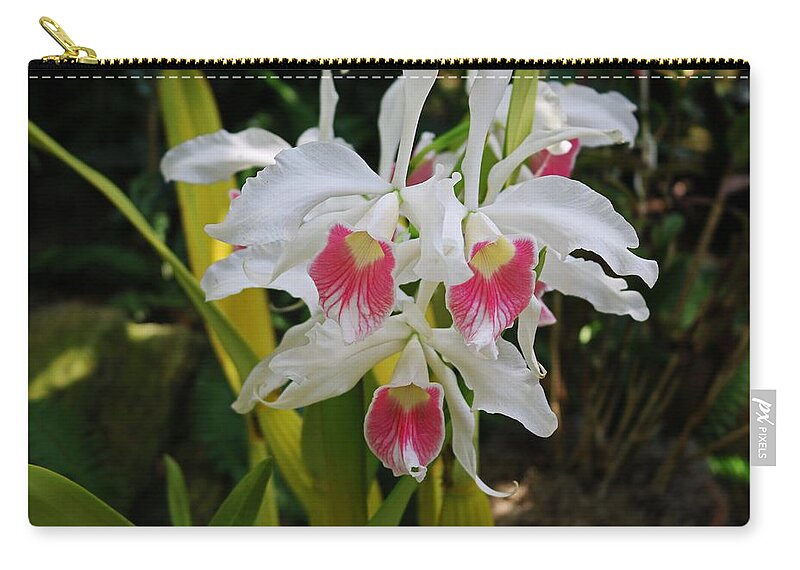 Orchid Zip Pouch featuring the photograph The Momentum Begins by Michiale Schneider