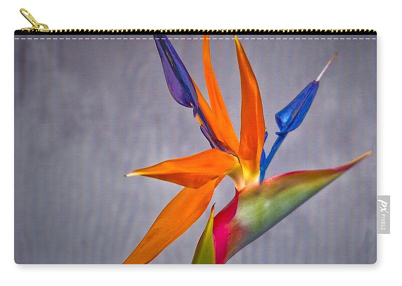 Exotic Zip Pouch featuring the photograph The Most Glorious Bird Of Paradise 2 by Joyce Dickens