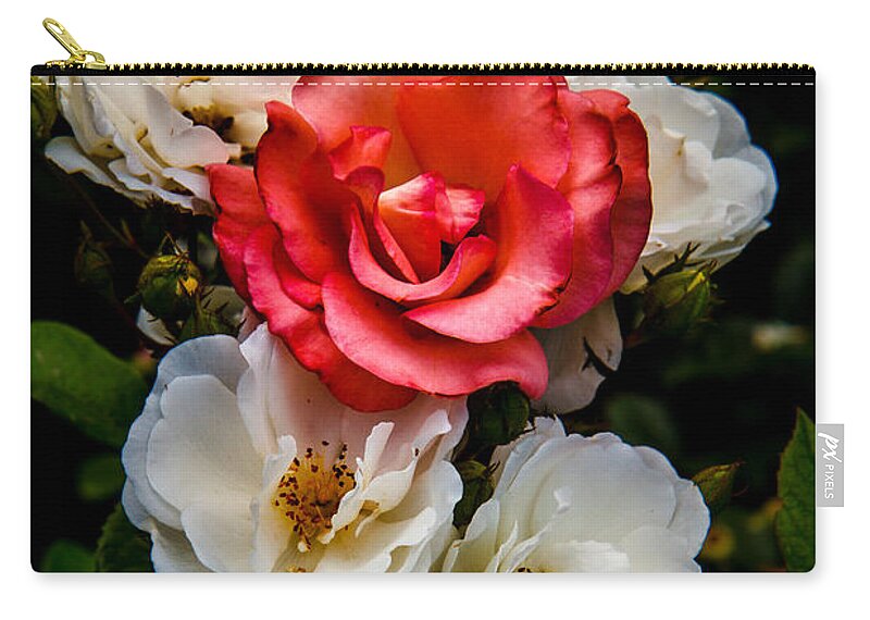 Rose Zip Pouch featuring the photograph The Odd One by Robert Bales