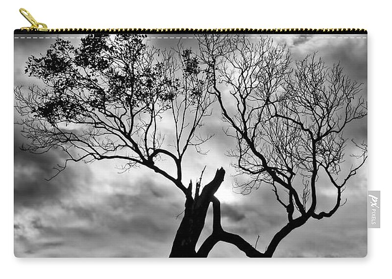 2015 Zip Pouch featuring the photograph The Old Mangrove tree in the Sea by Robert Charity