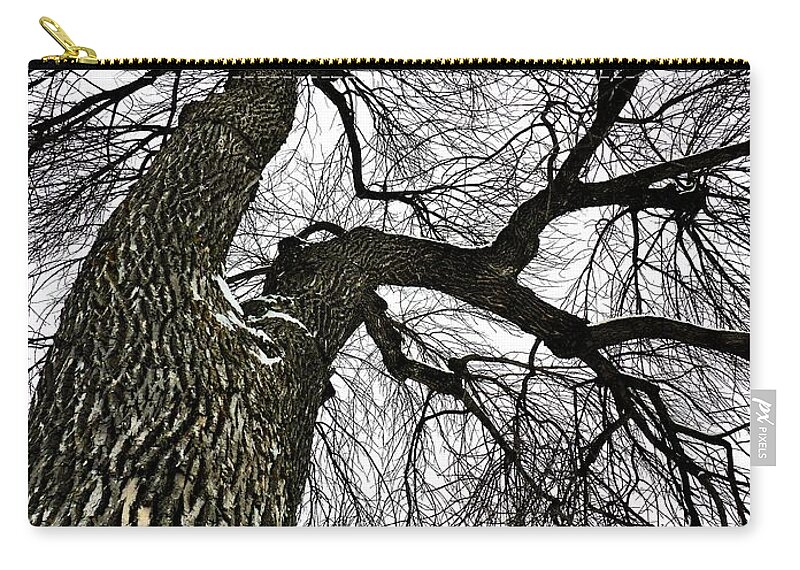 Tree Zip Pouch featuring the photograph The Old Tree by Cristina Stefan