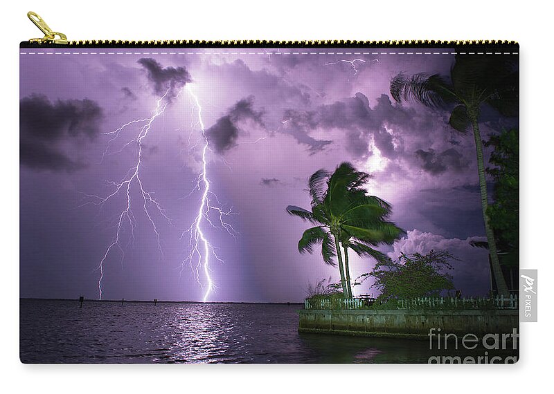 Lightning Carry-all Pouch featuring the photograph The Palms by Quinn Sedam