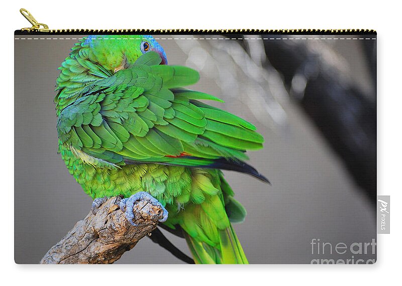 Bird Zip Pouch featuring the photograph The Parrot by Donna Greene
