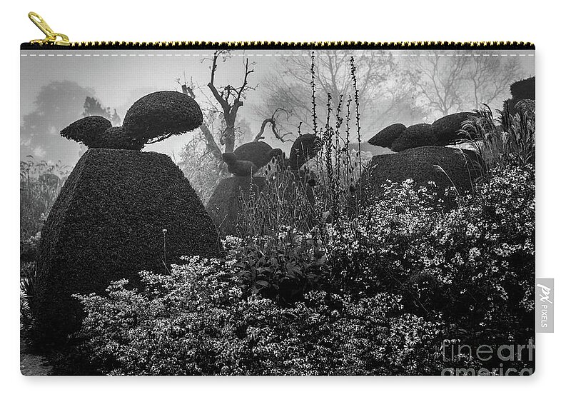 Plants Carry-all Pouch featuring the photograph The Peacock Garden, Great Dixter by Perry Rodriguez