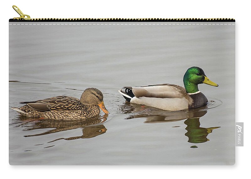 Bird Zip Pouch featuring the photograph The Perfect Pair by Jody Partin