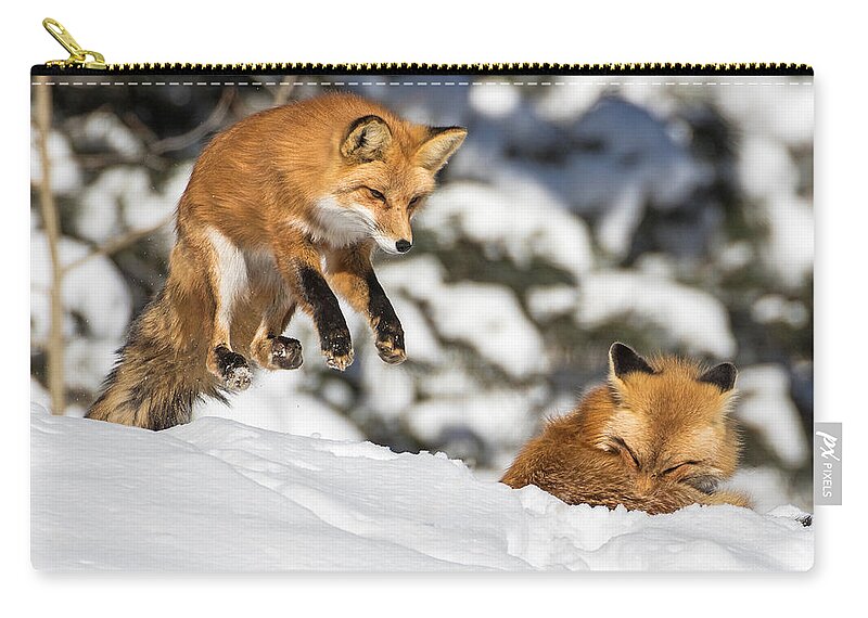 Red Fox Zip Pouch featuring the photograph The Perfect Pounce by Mindy Musick King