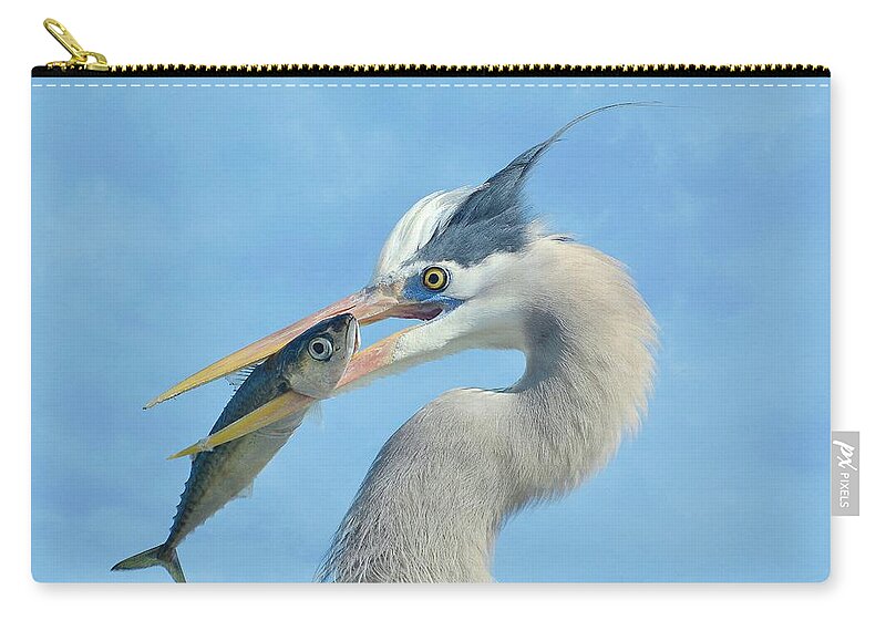 Great Blue Heron Zip Pouch featuring the photograph The Prize 7 by Fraida Gutovich