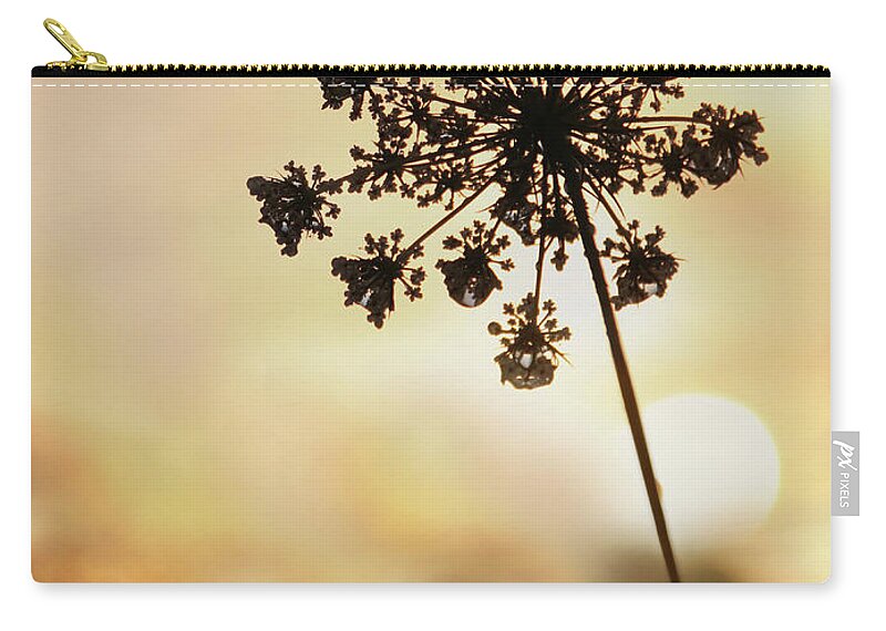 Flower Zip Pouch featuring the photograph The Queen at Sunrise by Lori Deiter