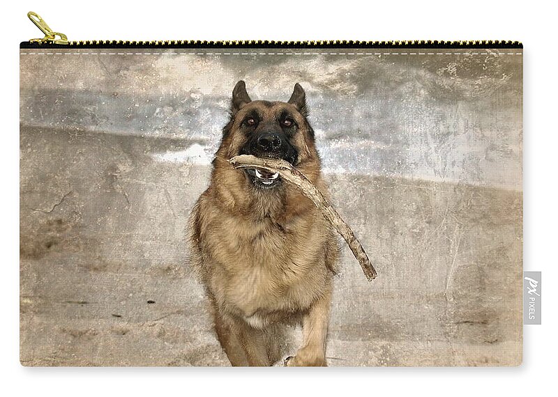 German Shepherd Dogs Zip Pouch featuring the photograph The Retrieve by Angie Tirado