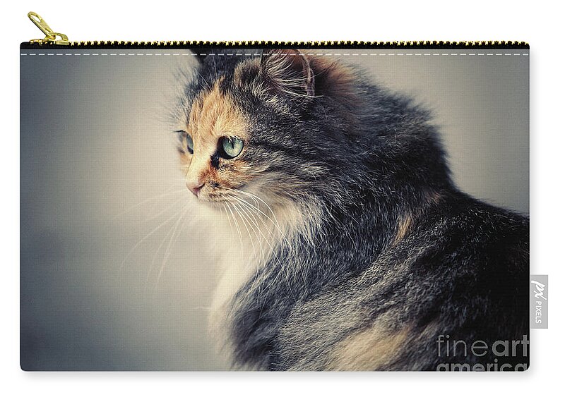 Cat Carry-all Pouch featuring the photograph The Sad Street Cat by Dimitar Hristov