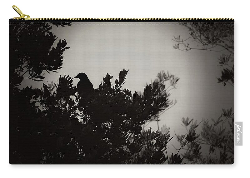 Bird Zip Pouch featuring the photograph The Shadow by Stoney Lawrentz